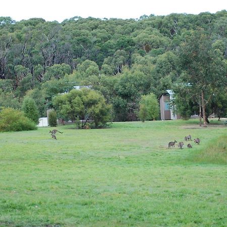 Appartamento Bellbrae Harvest Torquay Esterno foto